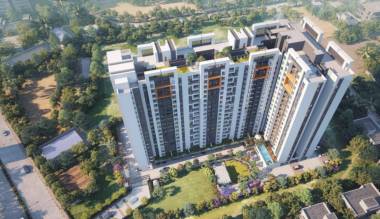 Elevation verde Elevation
