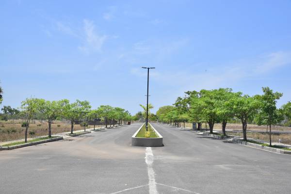  sangamam Plot