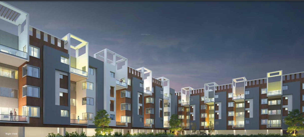  the levelz Elevation