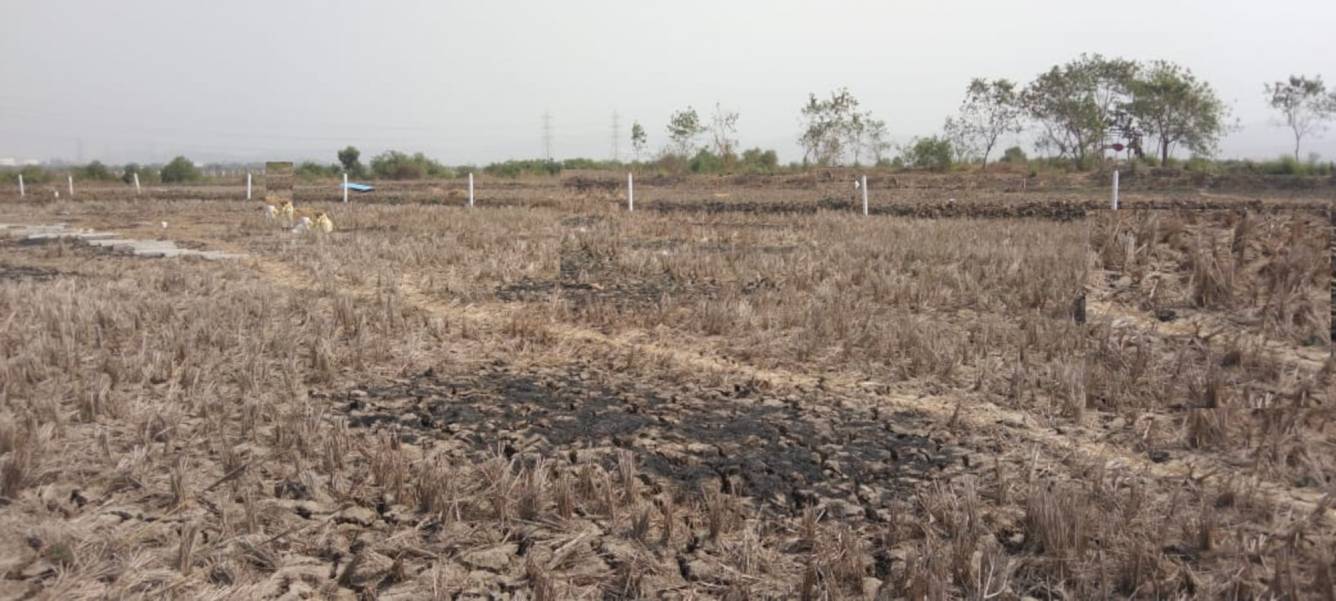  developers ranjanpada Plot