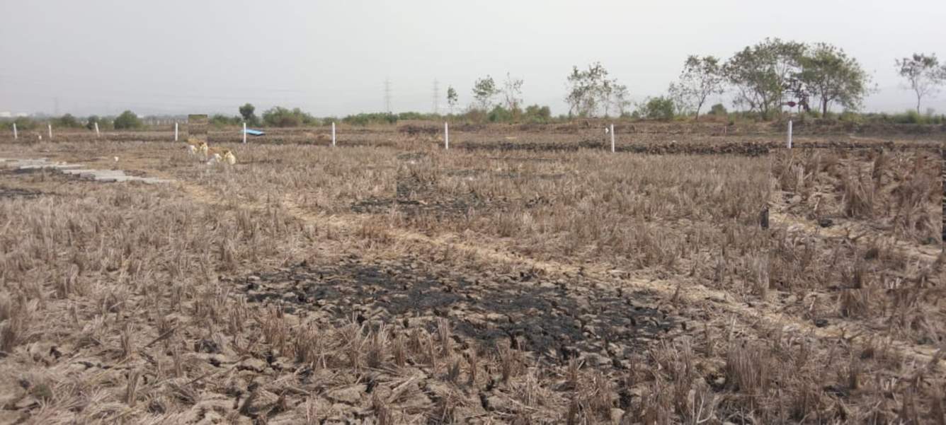  developers belondekhar Plot