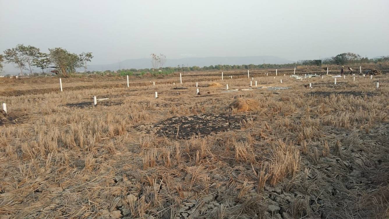  develpoers chirle Elevation