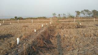 Project Image Project Image