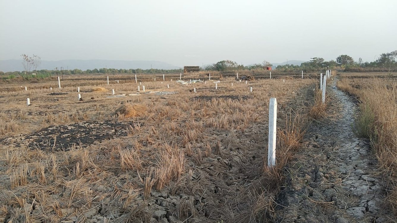  developers pirkone Plot