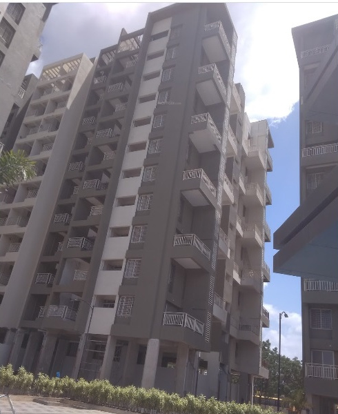  manhattan-d Elevation