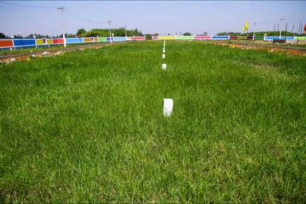  sri-sai-balaji-nagar-phase-1 Plot