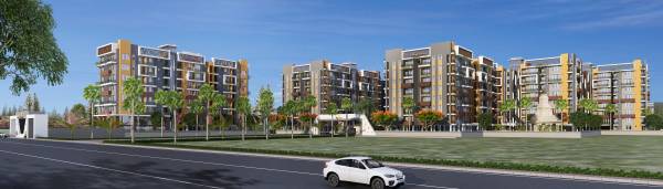 Elevation star-galaxy Elevation