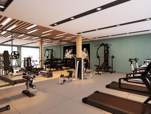 Gymnasium star-galaxy-1-phase-ii Gymnasium