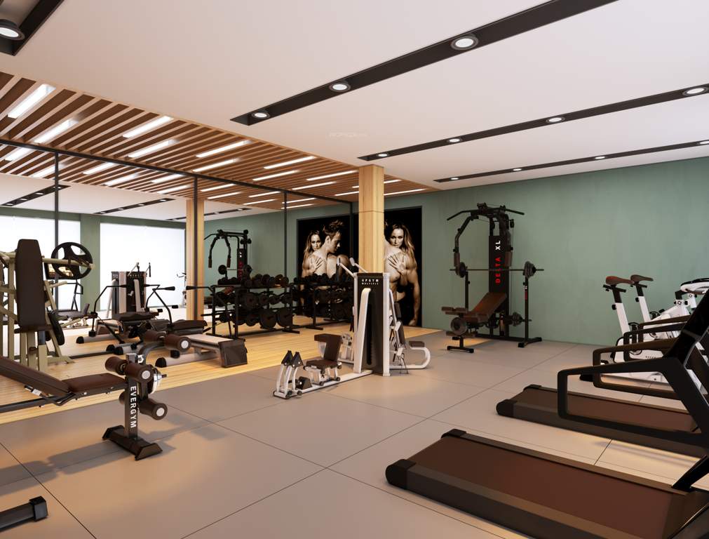 star galaxy 1 phase ii Gymnasium