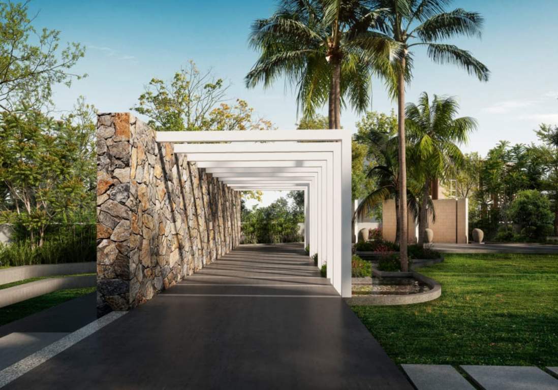 regalia Landscape Garden and Tree Planting