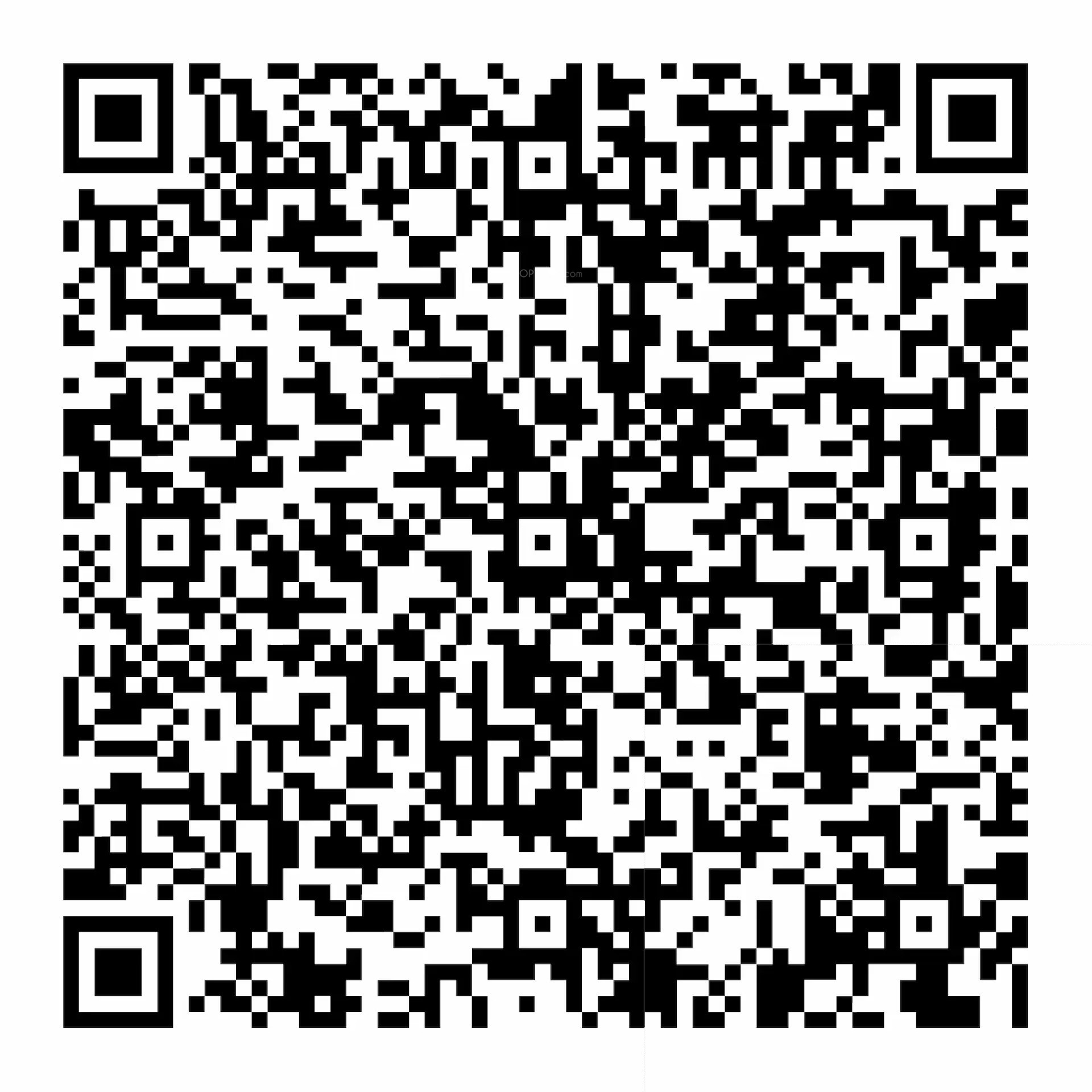 QR Image