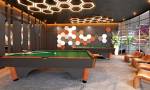  earth-one Billiards/ Snooker Table