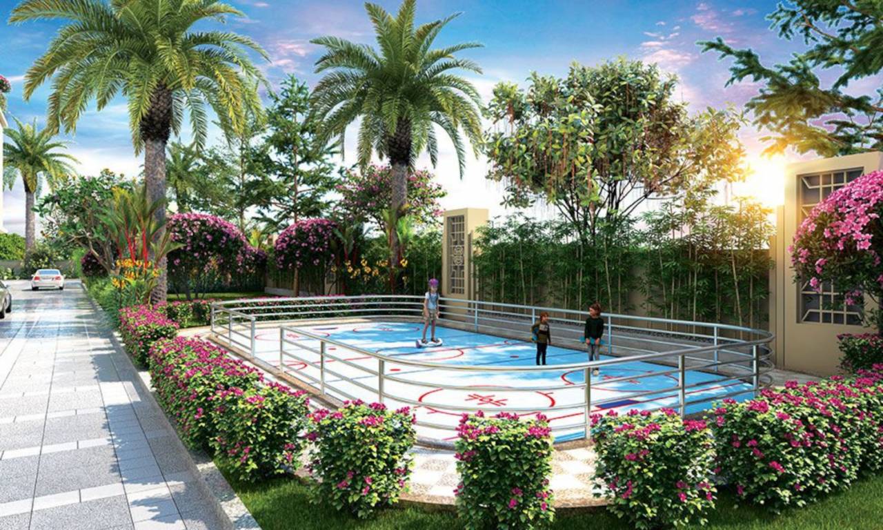 earth one Skating Rink