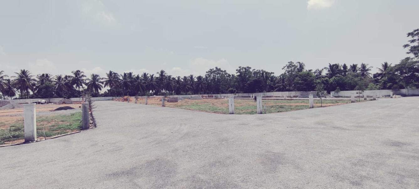 aurora city of light Internal Roads