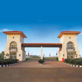 Elevation harmony-greens Elevation