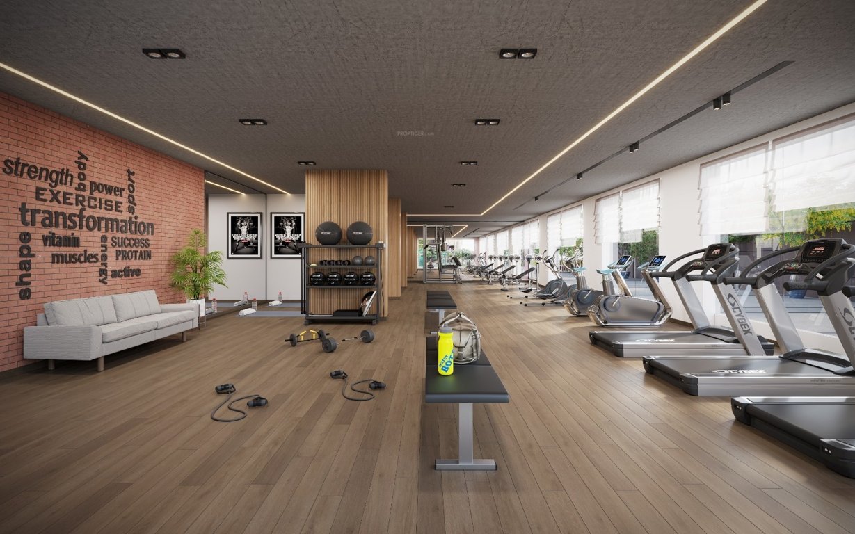  the empiirean Gymnasium