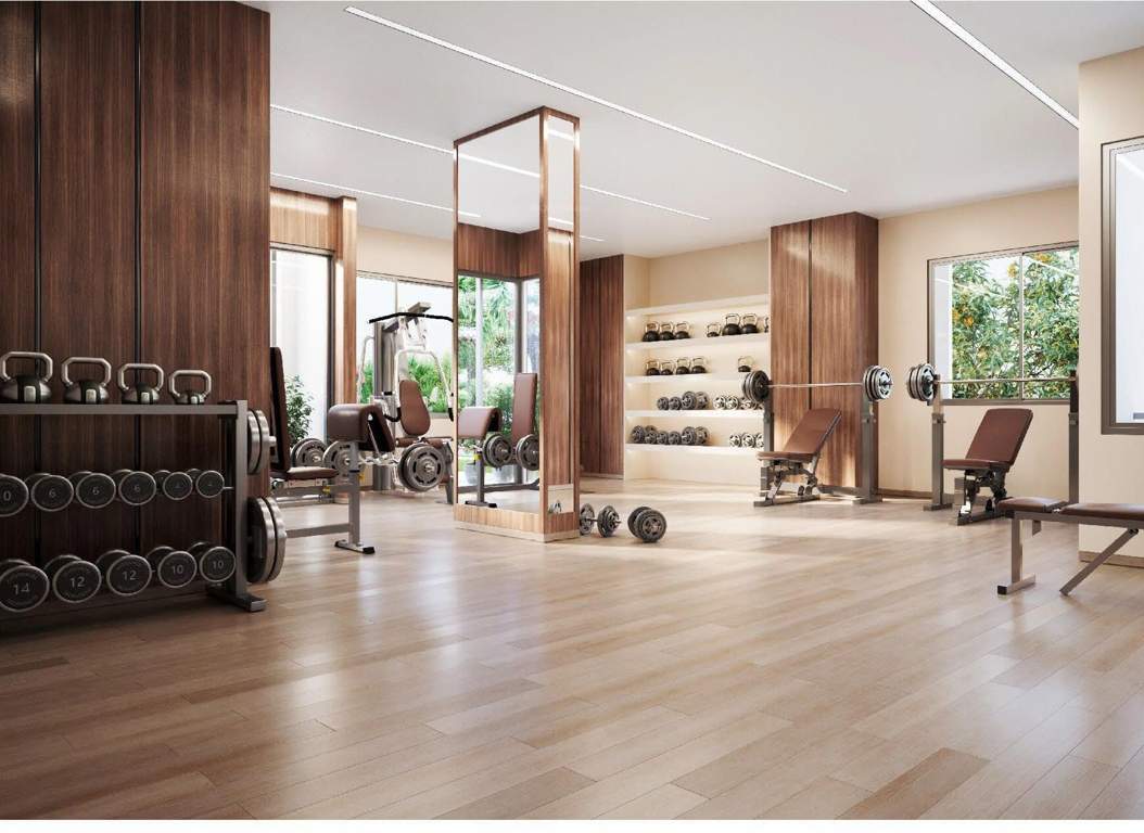  satatya syril ii Gymnasium