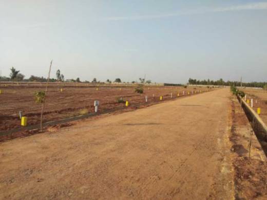 golden-enclave-5 Elevation Elevation