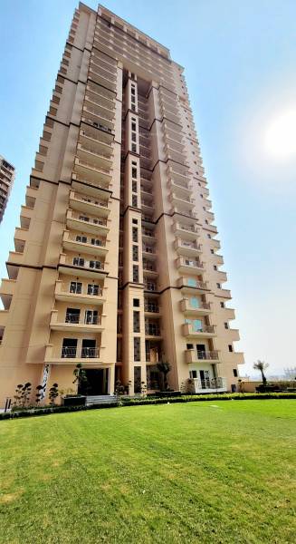 Elevation sports-home Elevation