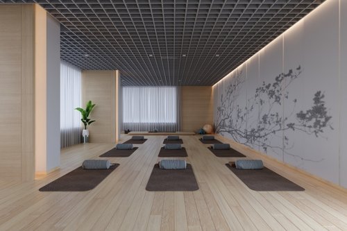 Yoga/Meditation Area lakeville Yoga/Meditation Area