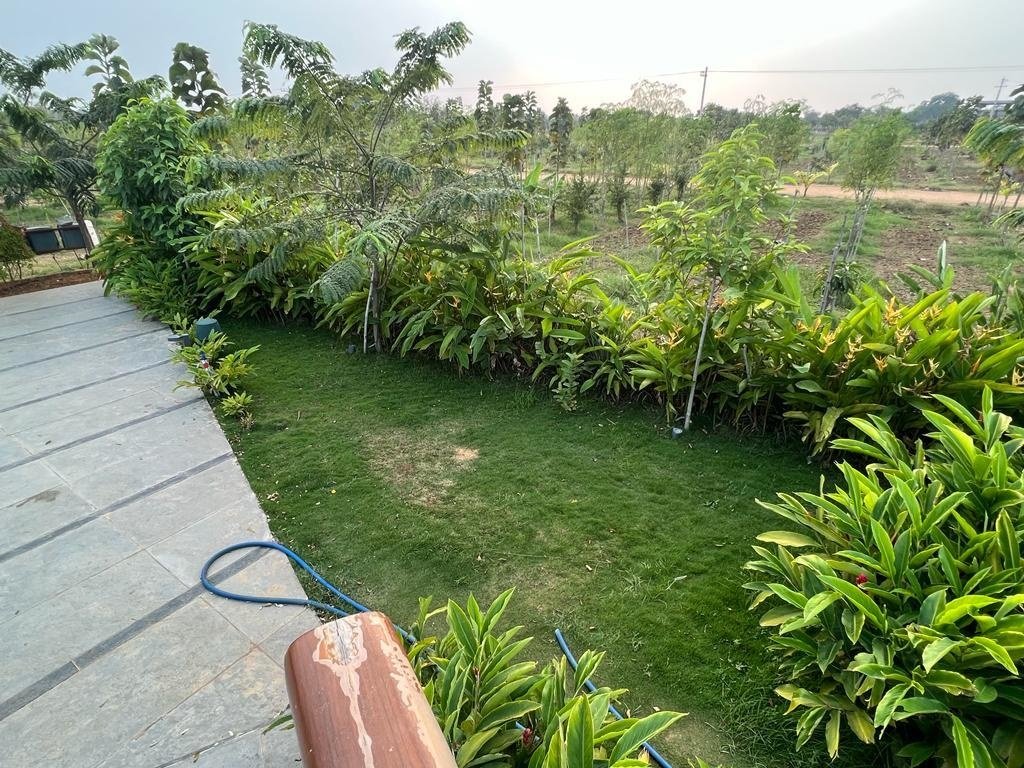  suvarna sahasra Plot