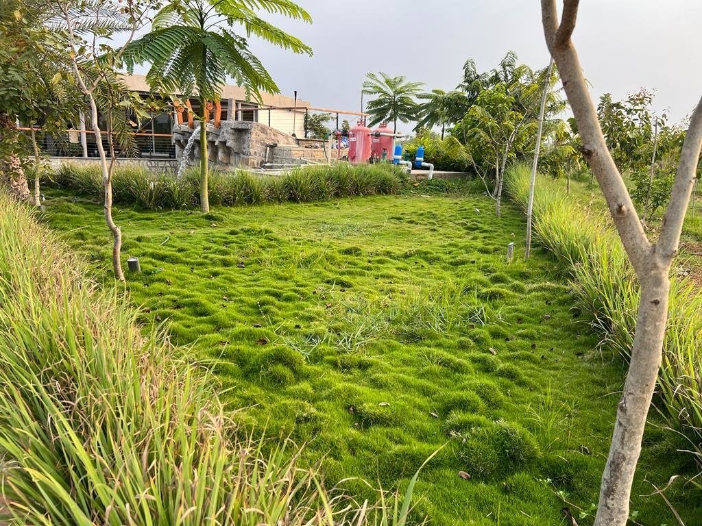  suvarna sahasra Plot