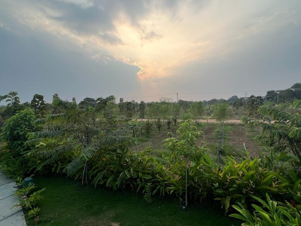  suvarna sahasra Plot