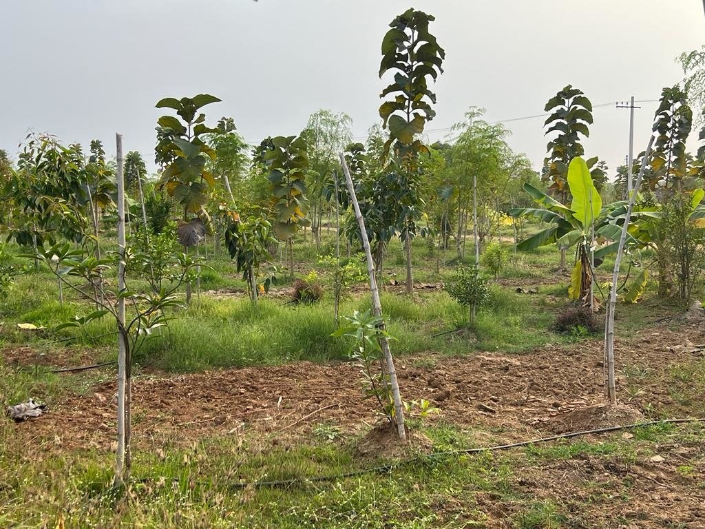  suvarna sahasra Plot