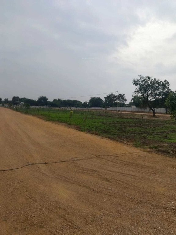  suvarna sahasra Plot