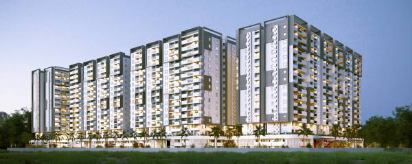  homes-rise Elevation