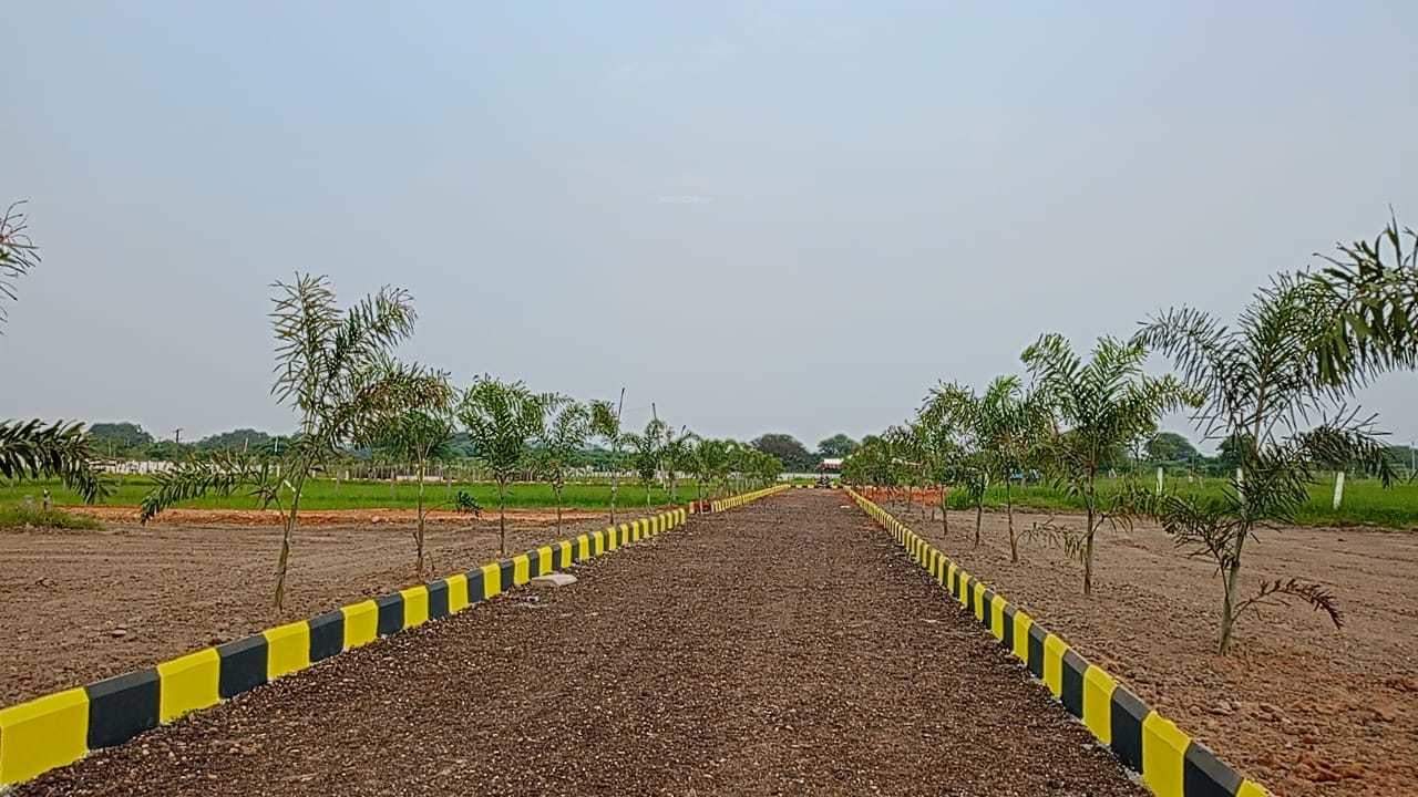  nature farms Plot