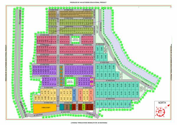  homes Layout Plan