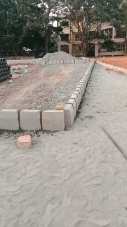  celebrity paradise Plot