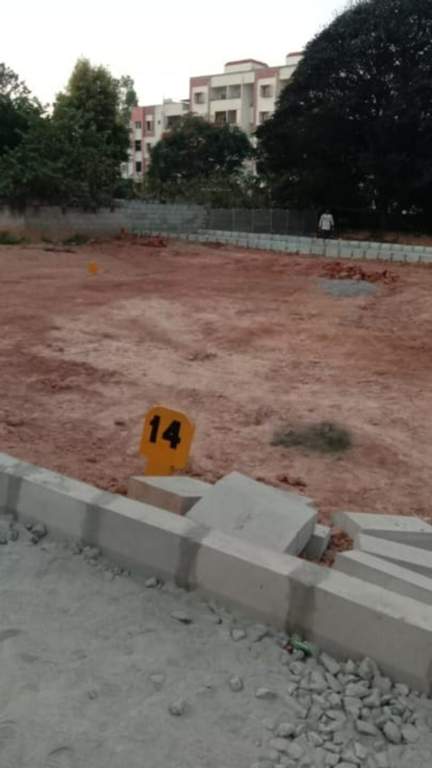  celebrity paradise Plot