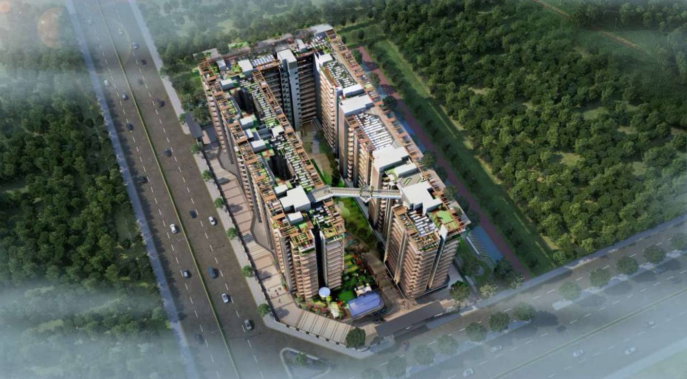  golf island Elevation