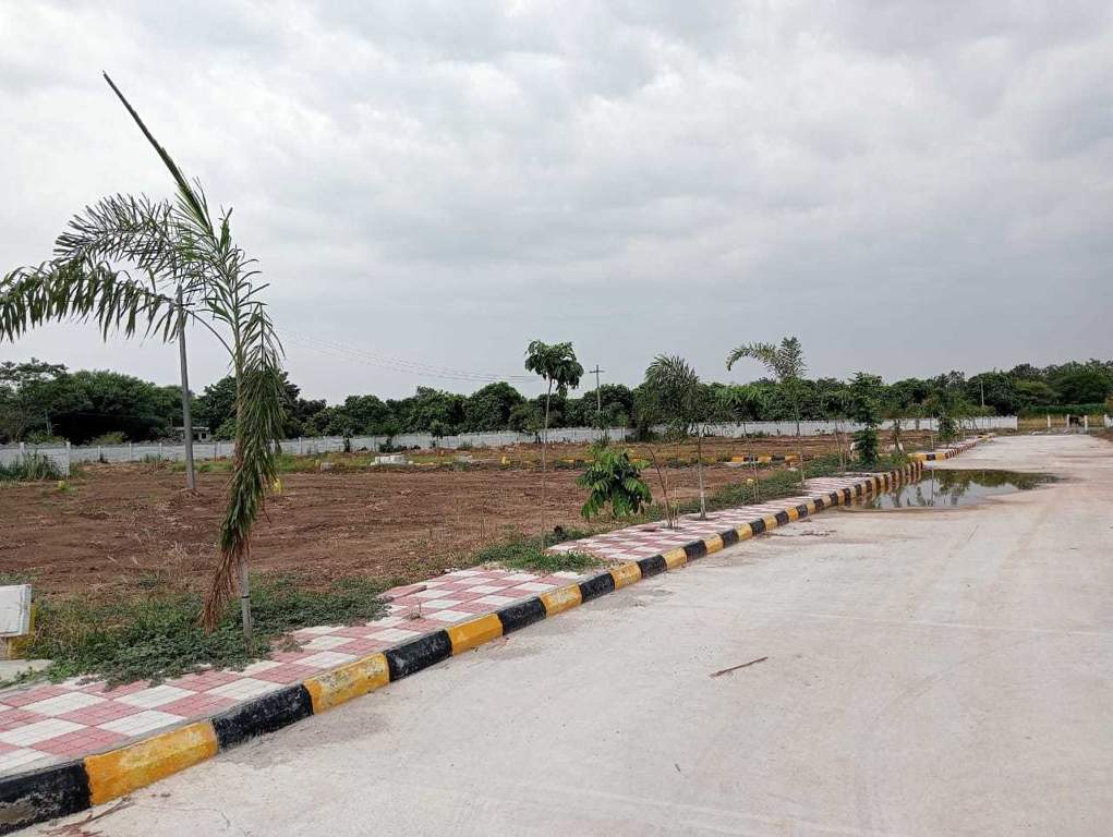  nature golden galaxy Elevation