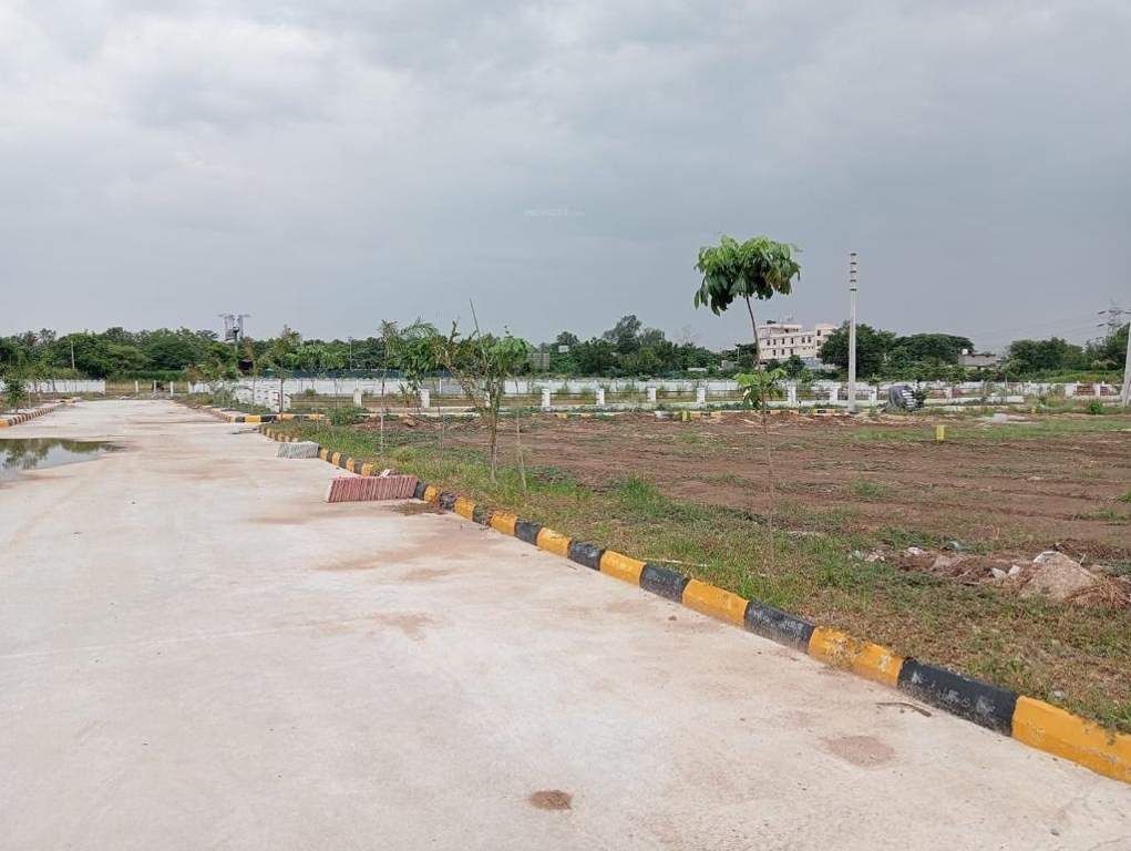  nature golden galaxy Elevation