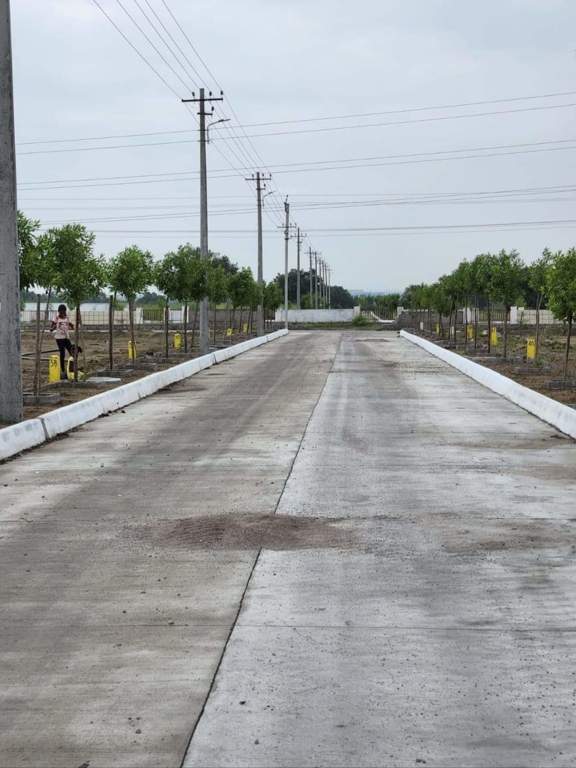  nature golden galaxy Internal Roads