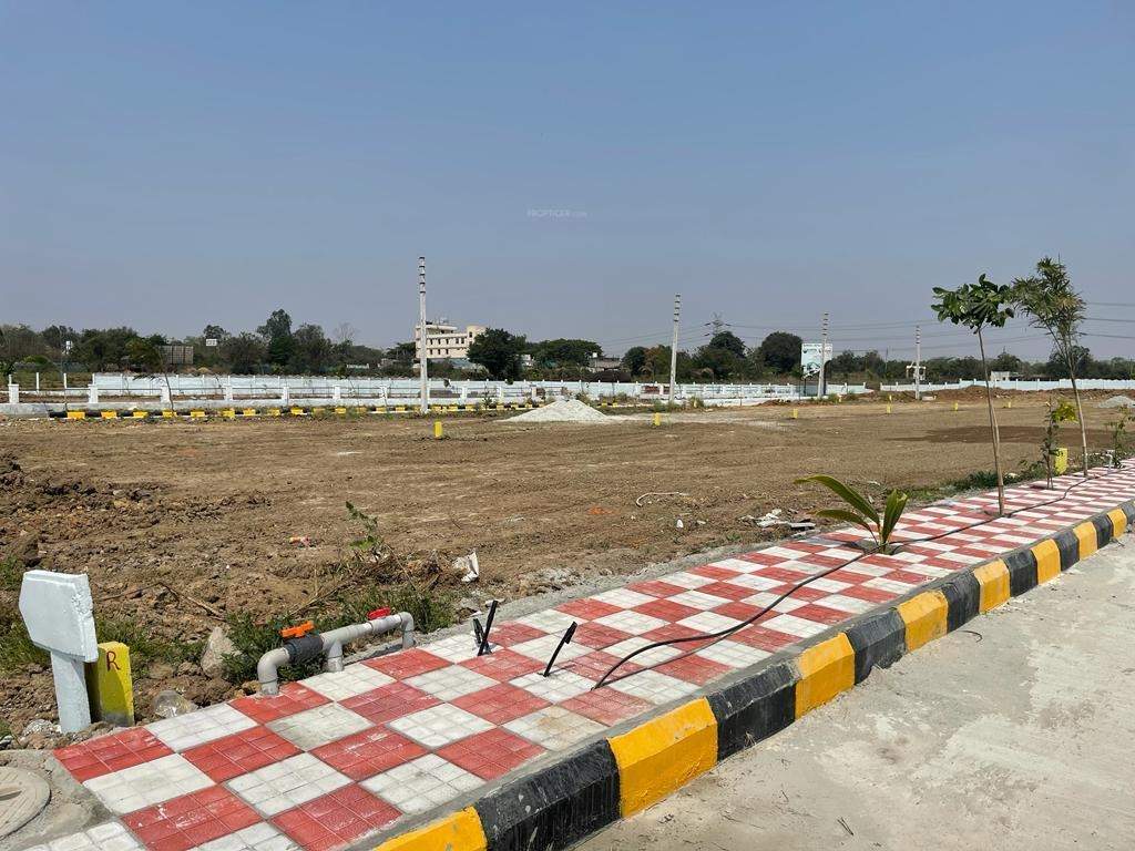  nature golden galaxy Plot