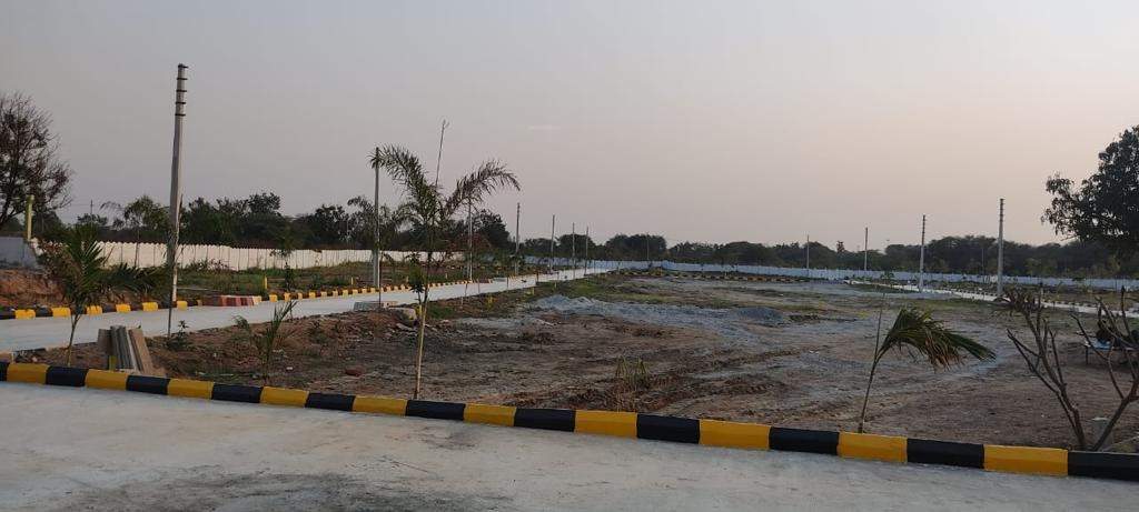  nature golden galaxy Plot