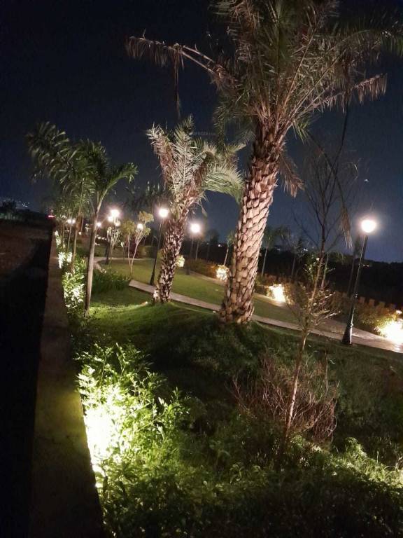  the palm valley Others