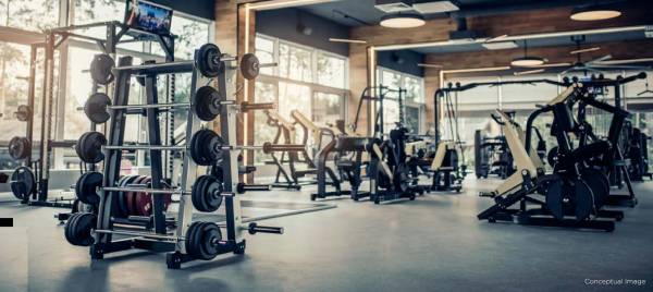  41zillenia Gymnasium