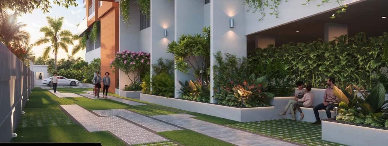  41zillenia Landscape Garden and Tree Planting