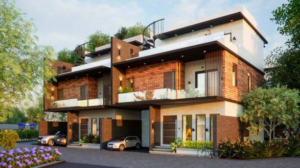 Elevation mulberry-groves Elevation