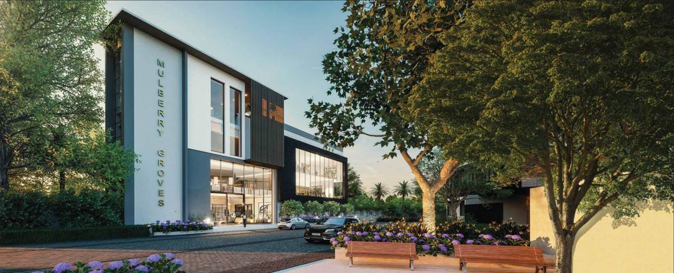  mulberry groves Elevation