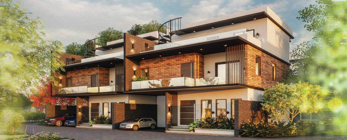  mulberry groves Elevation