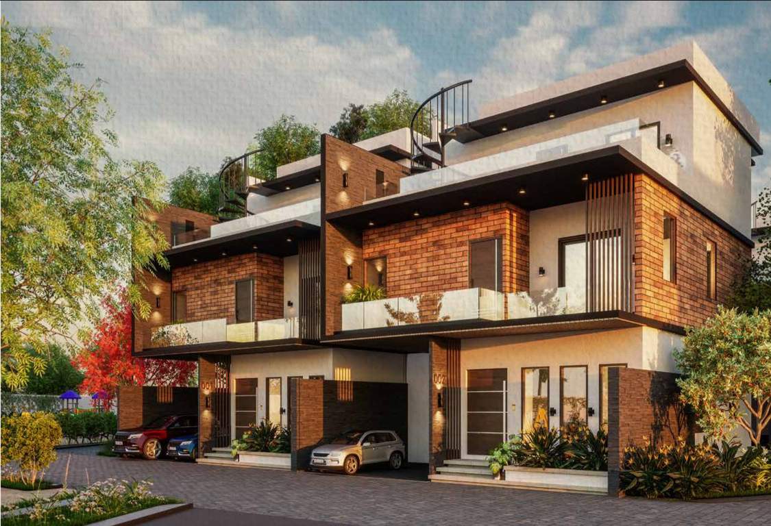  mulberry groves Elevation