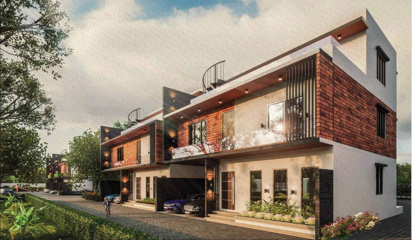  mulberry groves Elevation