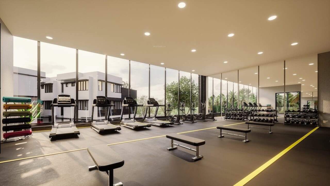  mulberry groves Gymnasium