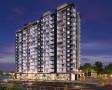 JND Construction Wisteria
